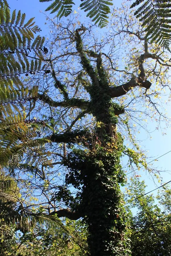 Schuilhoek Garden Terraces - Self Catering Cape Town